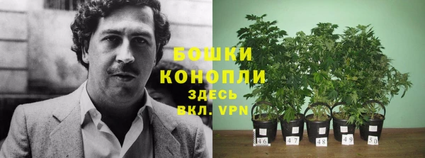 первитин Михайлов