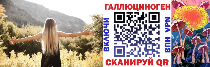 закладки  Усть-Кут  Галлюциногенные грибы Psilocybine cubensis 