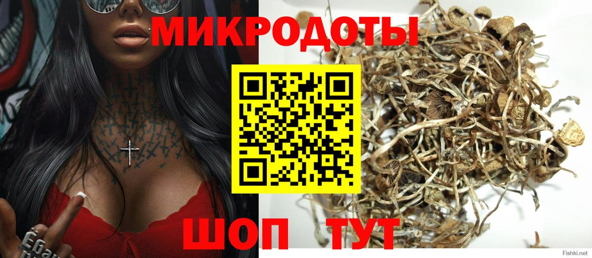 Псилоцибиновые грибы мухоморы Усть-Кут