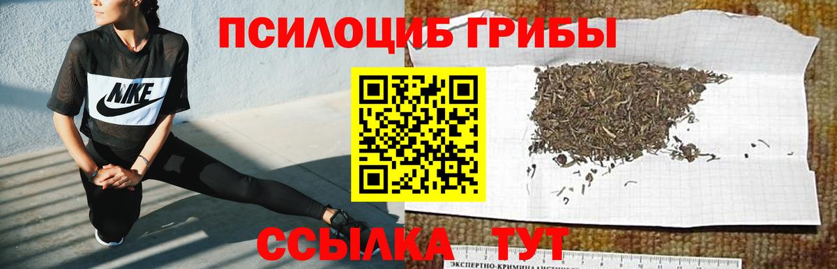 Псилоцибиновые грибы GOLDEN TEACHER Усть-Кут